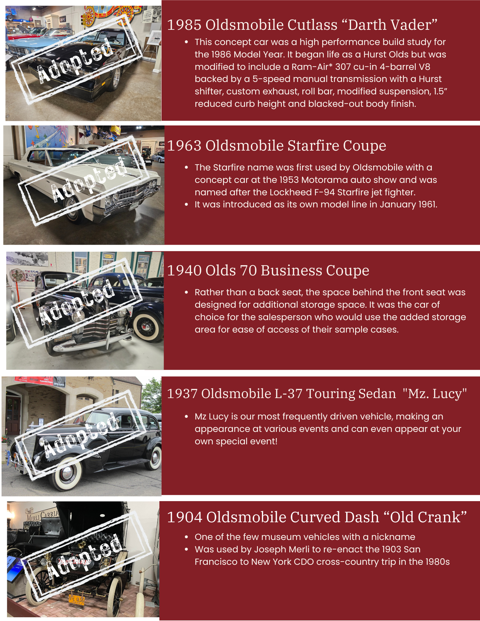 Auto Adoption 2326 (2)